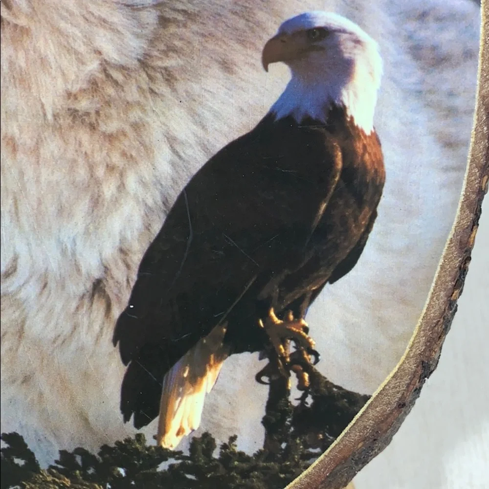 Vintage Wooden Eagle & Wolf Wall Plaque